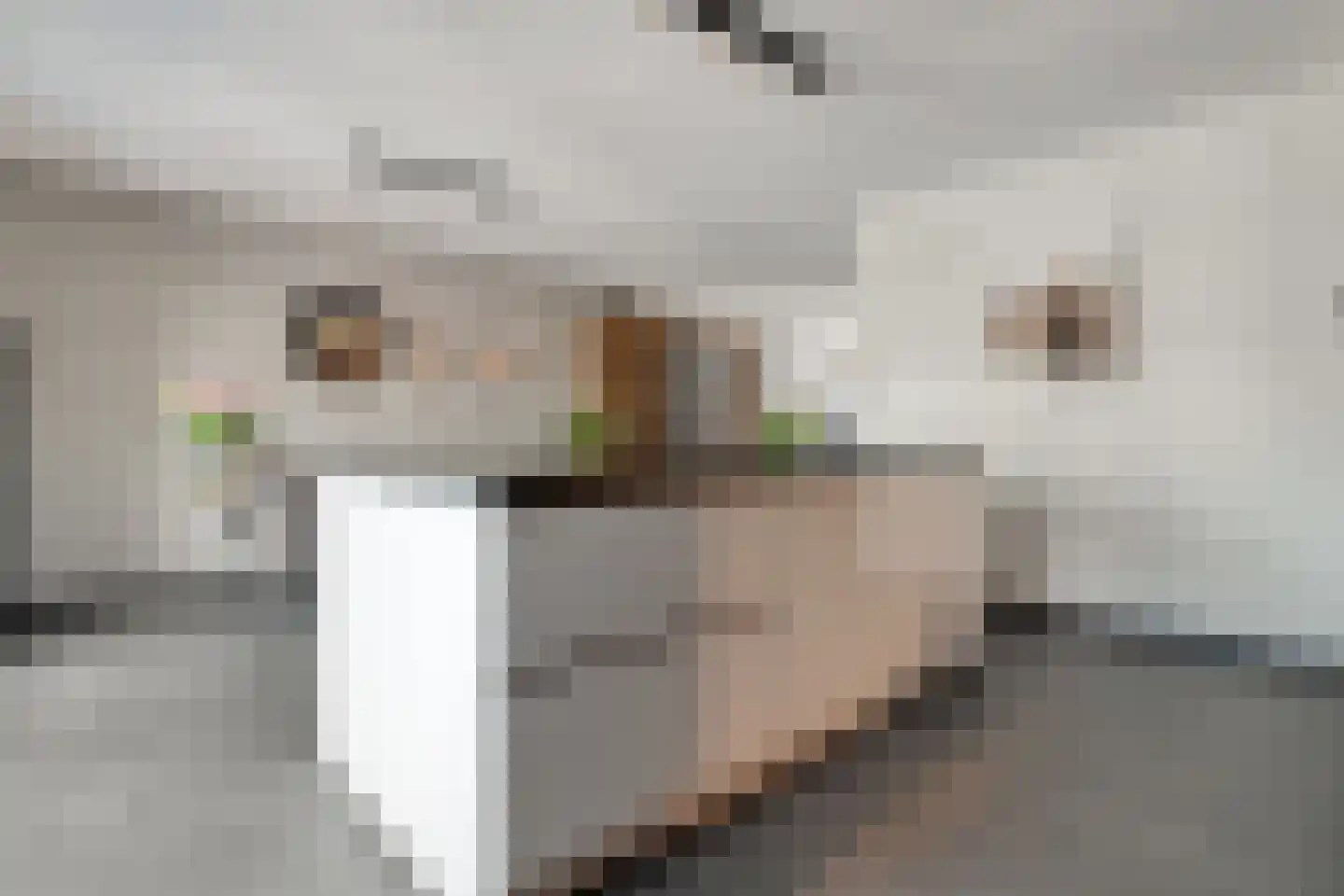 Petunia 5 Ens thumbnail 14