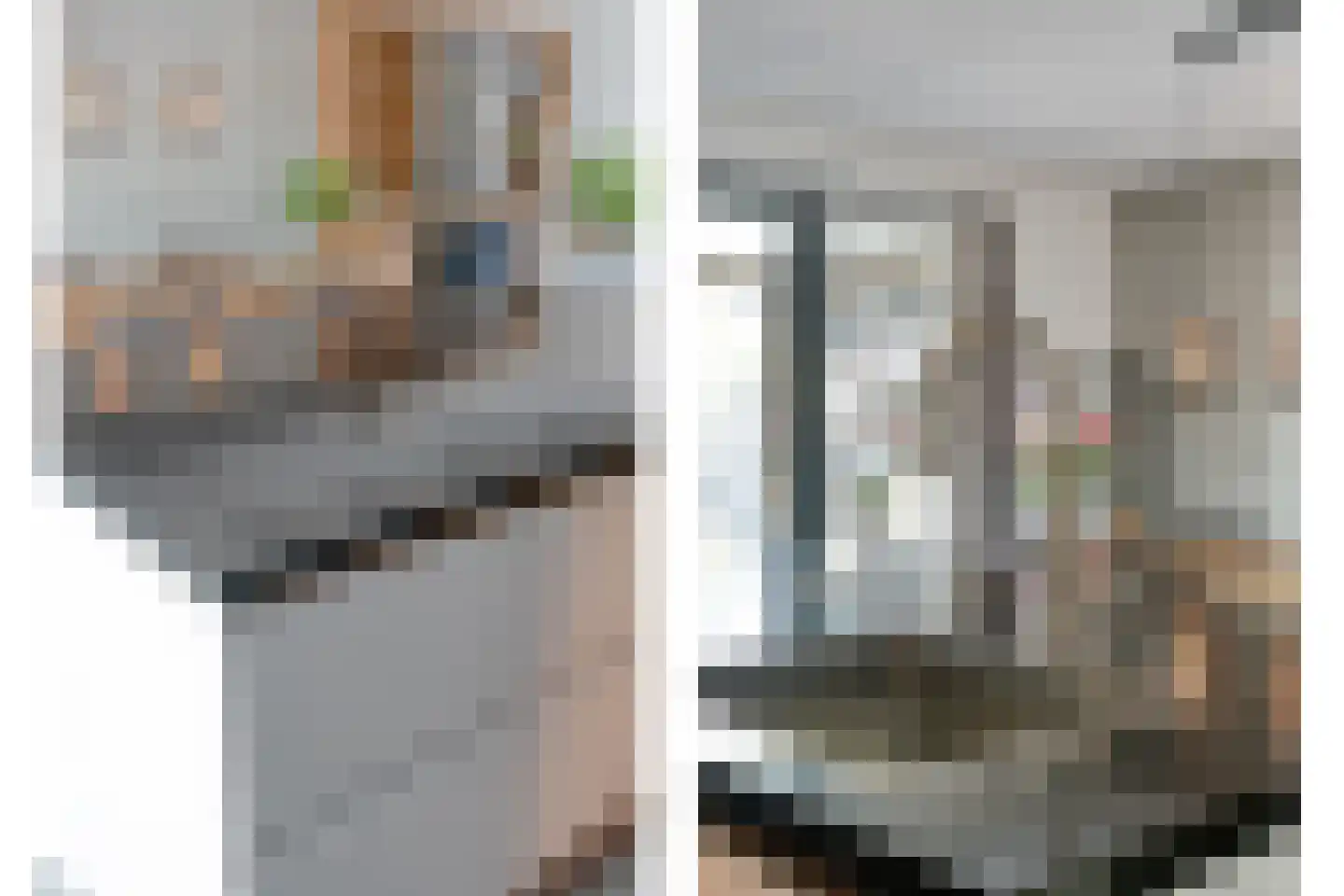 Petunia 5 Ens thumbnail 16