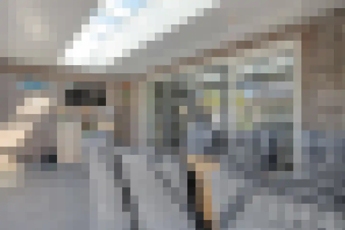 Petunia 5 Ens thumbnail 22