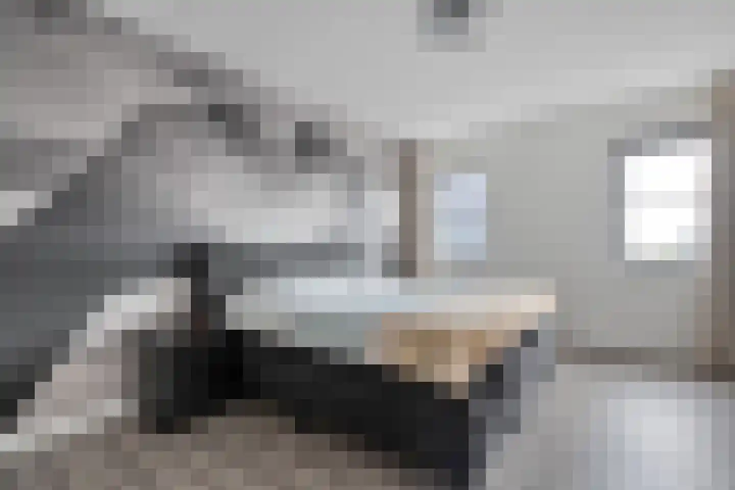 Petunia 5 Ens thumbnail 25
