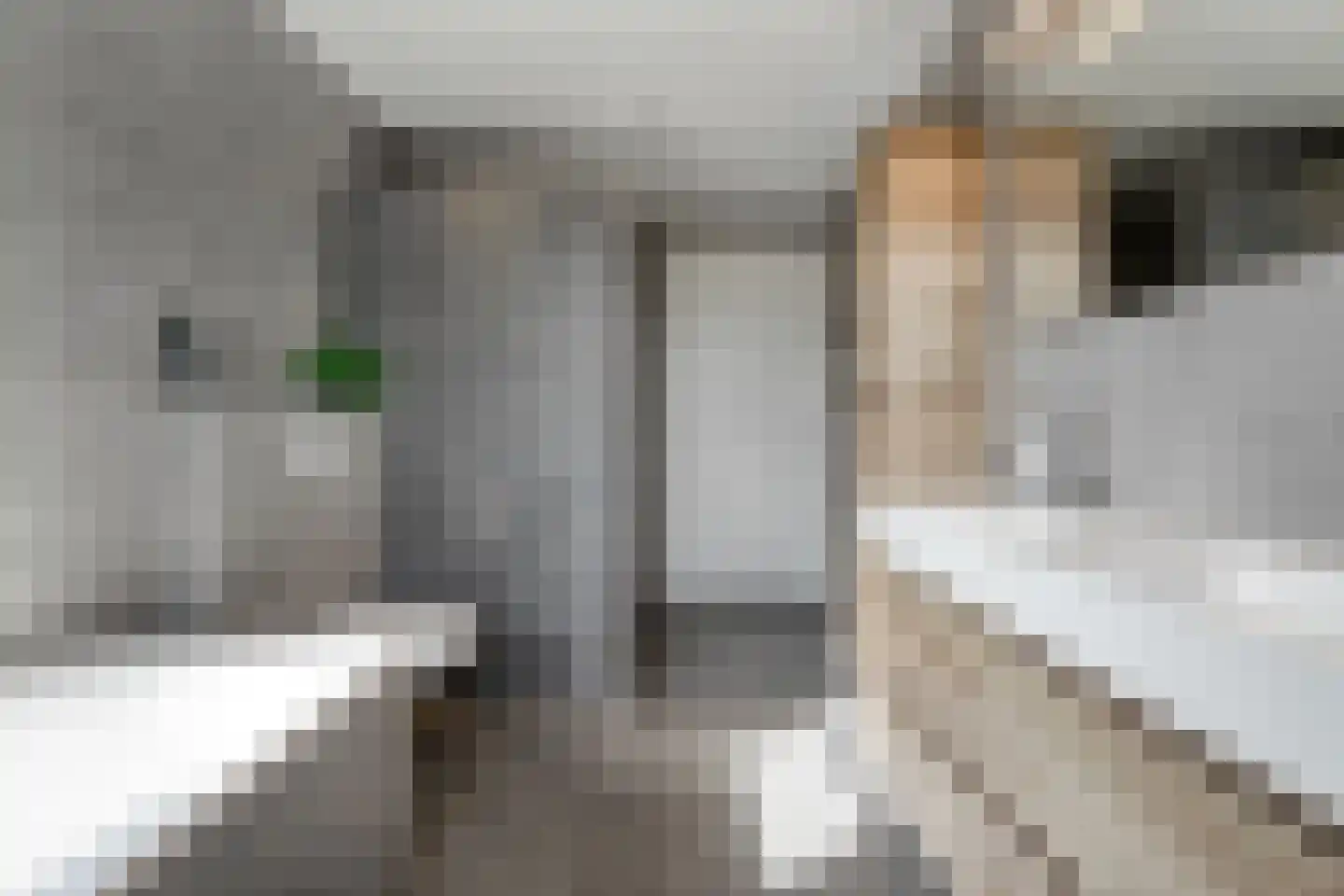 Petunia 5 Ens thumbnail 31
