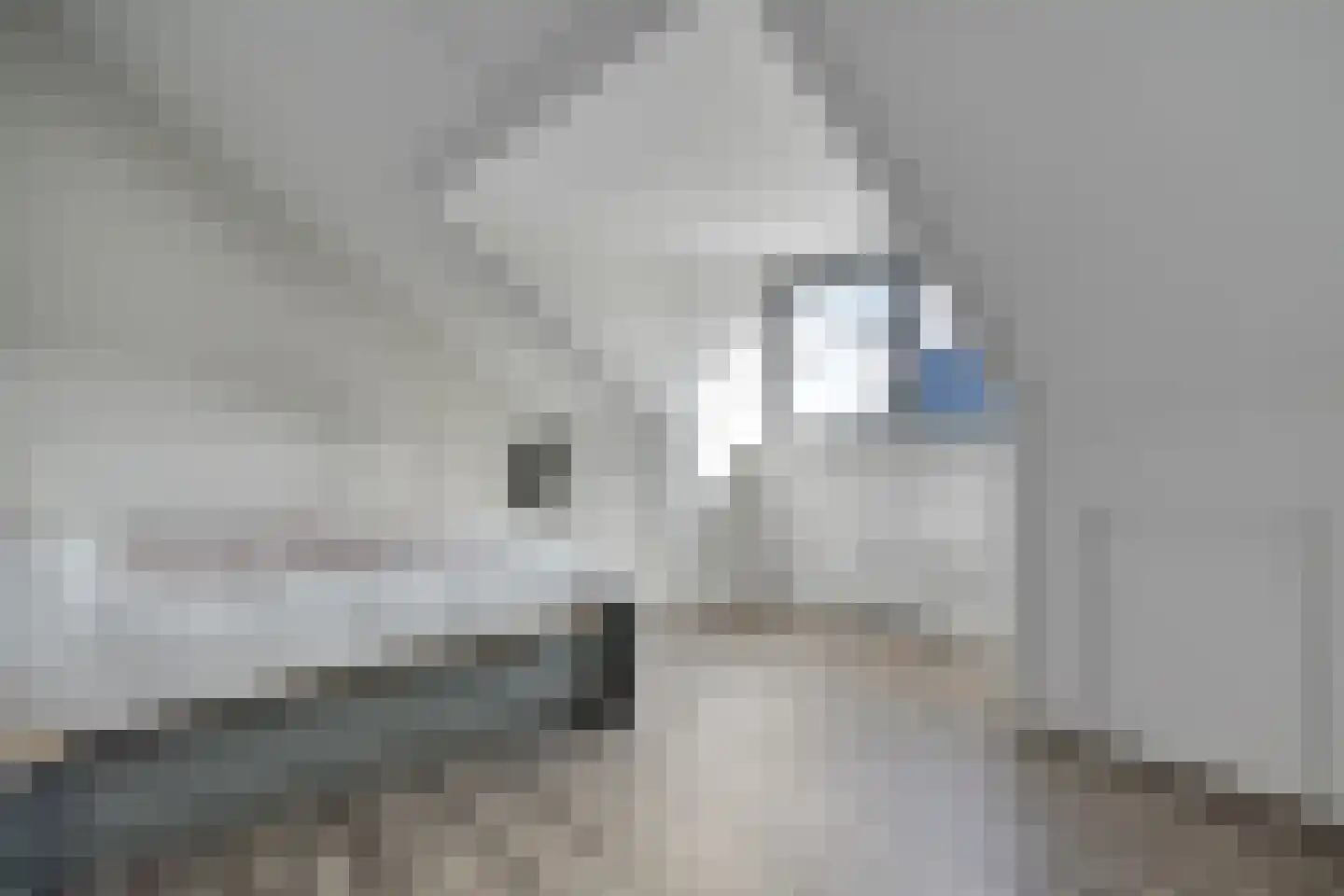 Petunia 5 Ens thumbnail 36