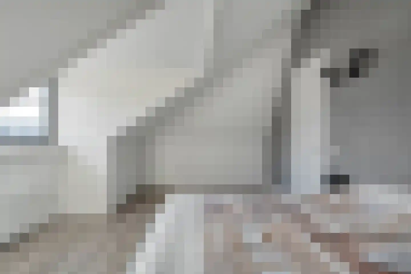 Petunia 5 Ens thumbnail 37