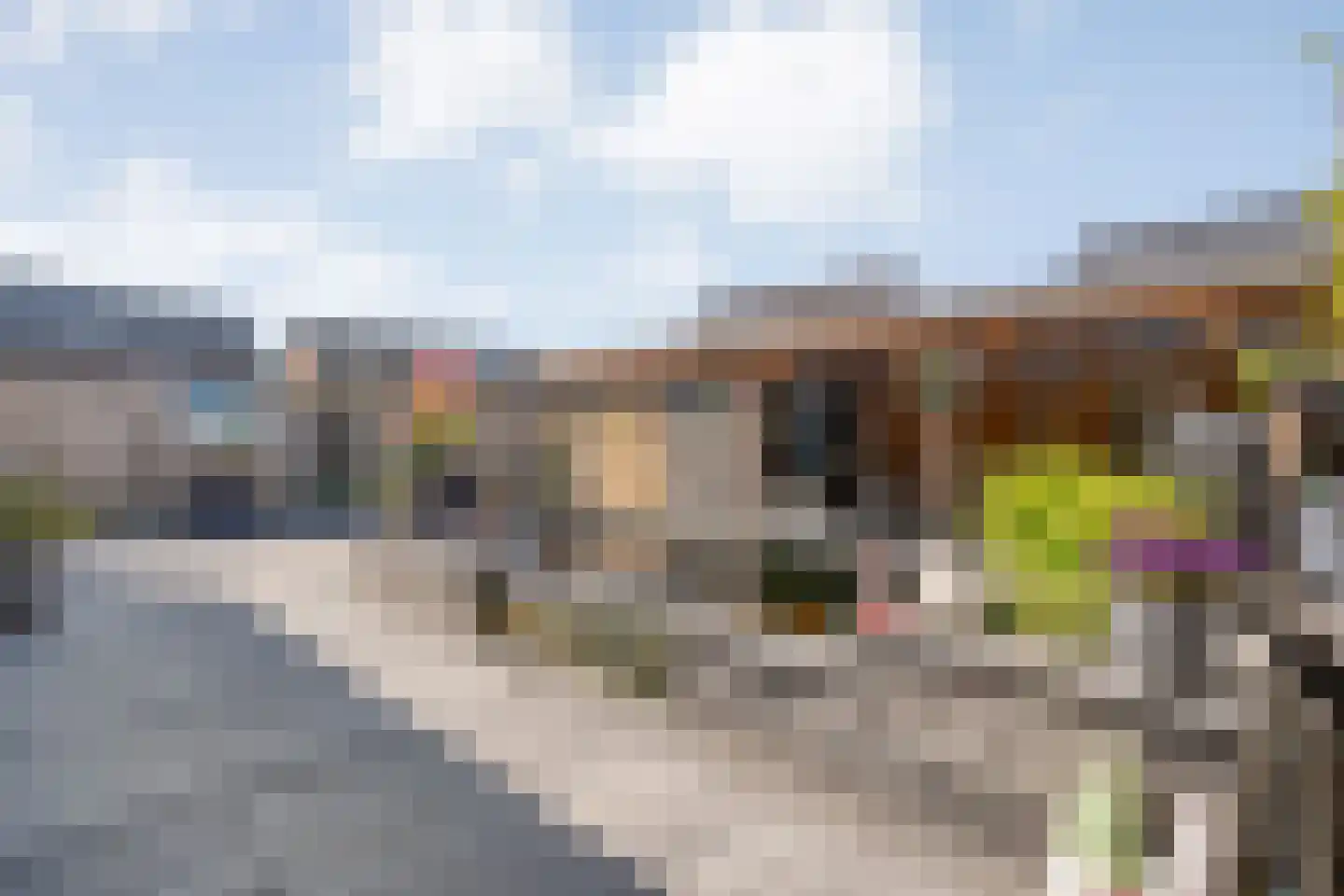 Petunia 5 Ens thumbnail 40