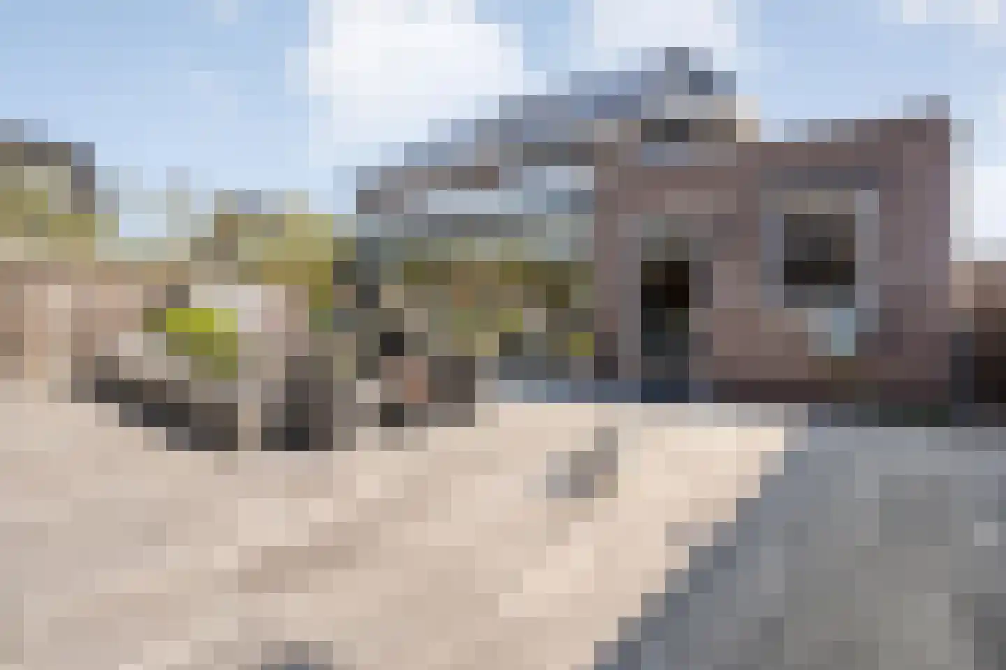 Petunia 5 Ens thumbnail 41