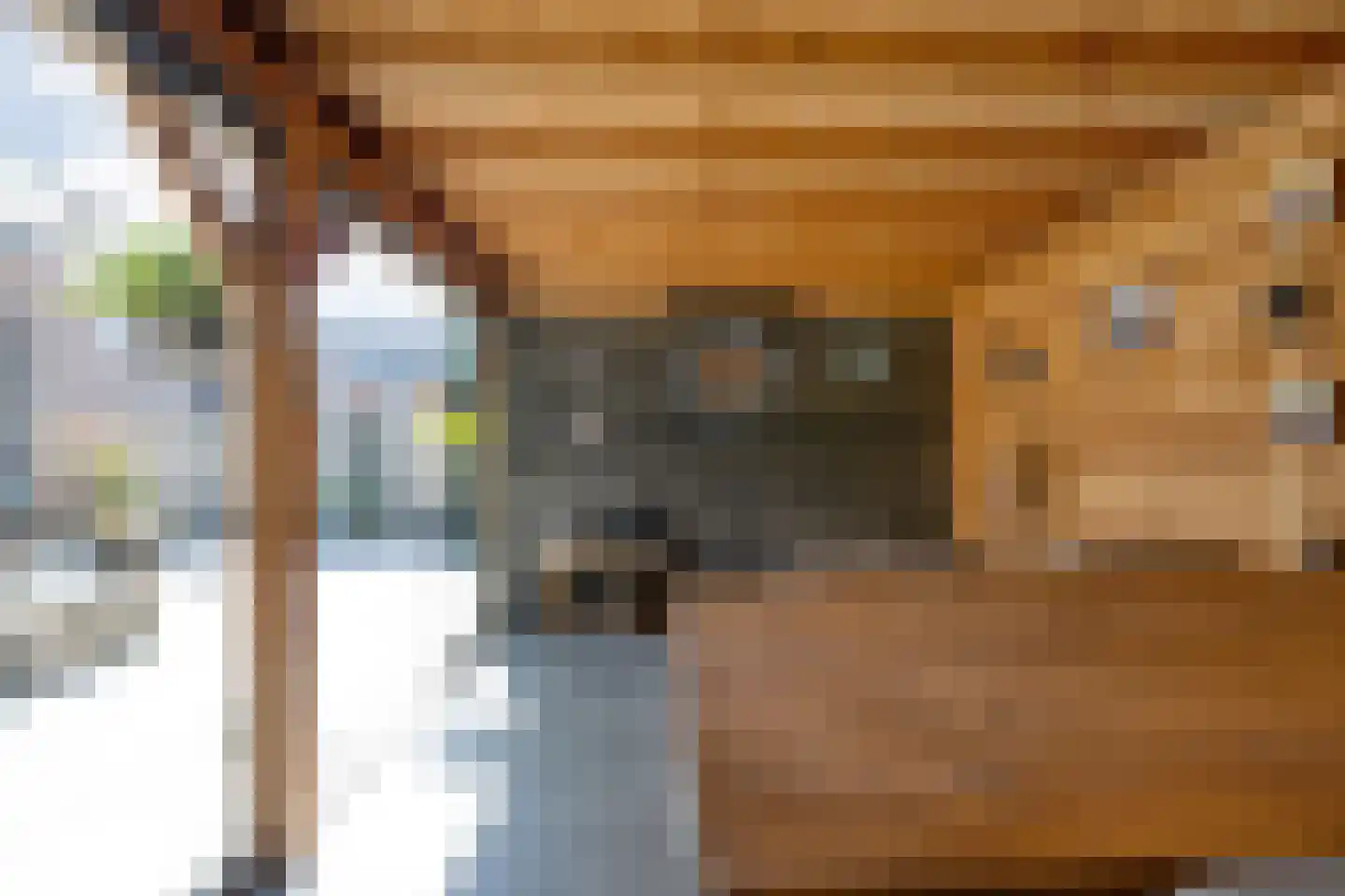 Petunia 5 Ens thumbnail 43