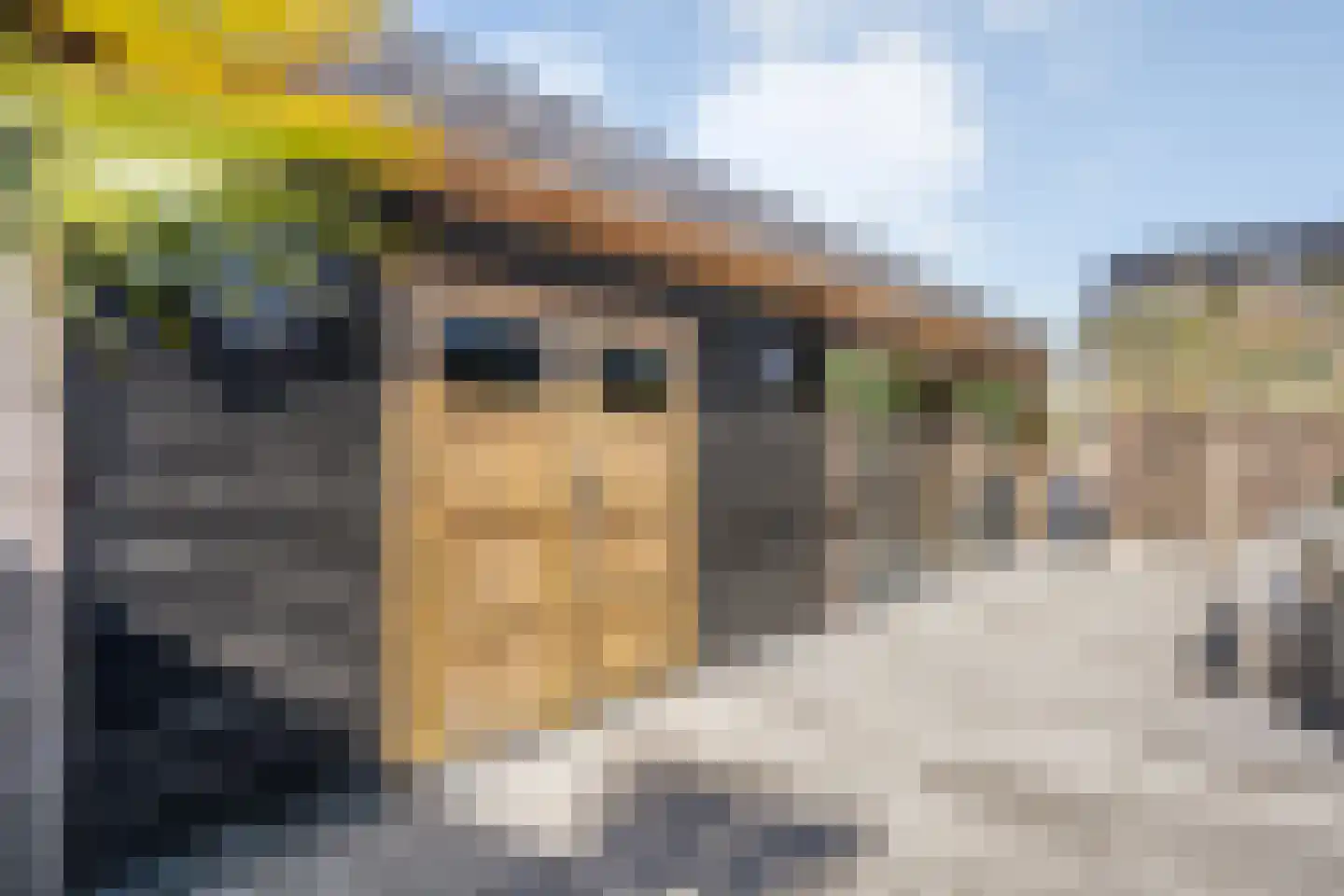 Petunia 5 Ens thumbnail 45