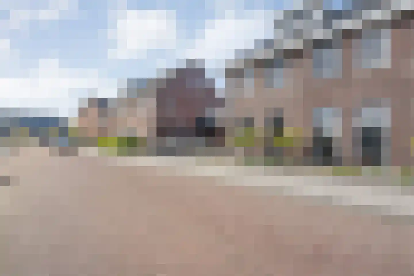 Petunia 5 Ens thumbnail 47