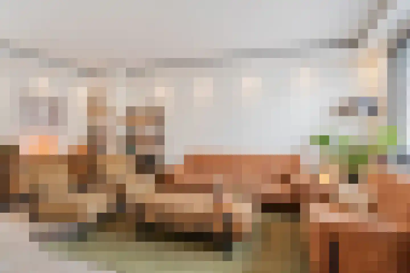 Petuniadal 5 Leiden thumbnail 10