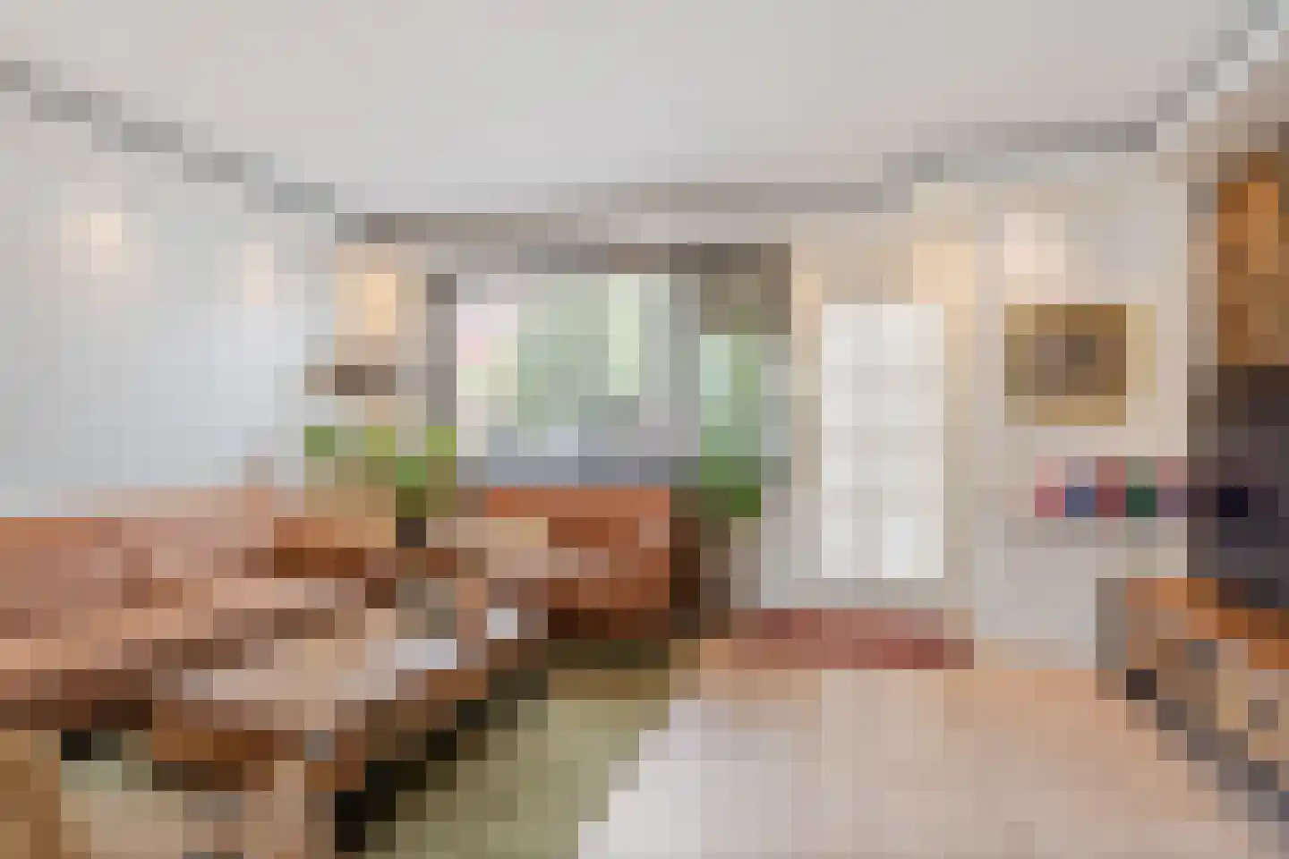 Petuniadal 5 Leiden thumbnail 11