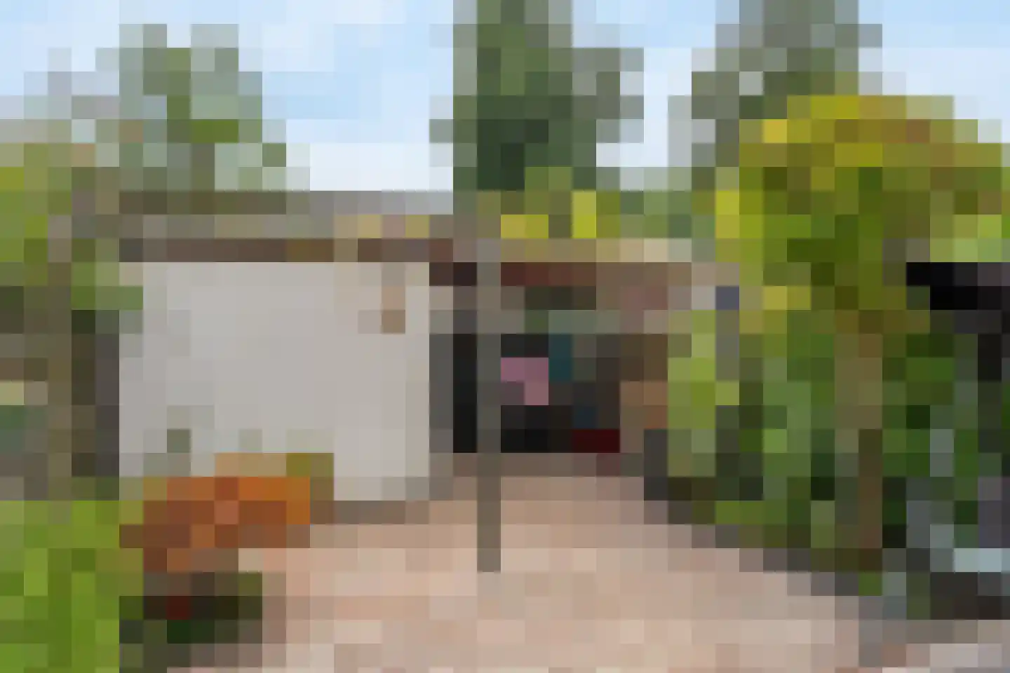 Petuniadal 5 Leiden thumbnail 12