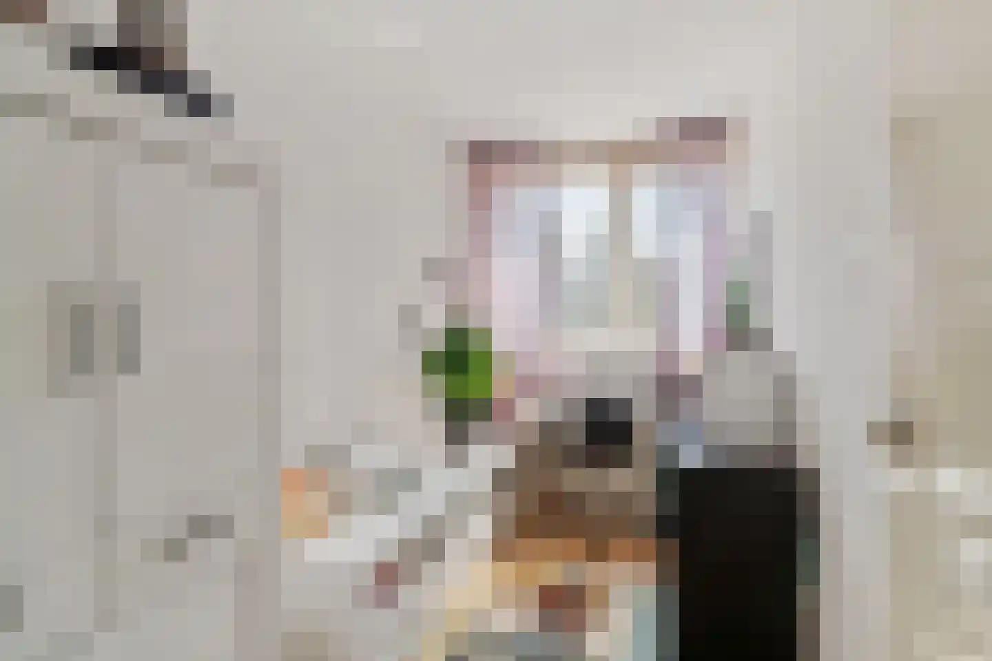 Petuniadal 5 Leiden thumbnail 22