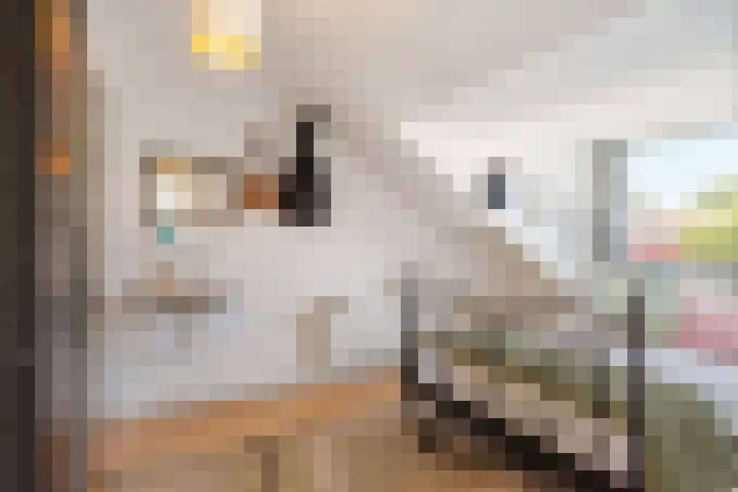 Petuniadal 5 Leiden thumbnail 26