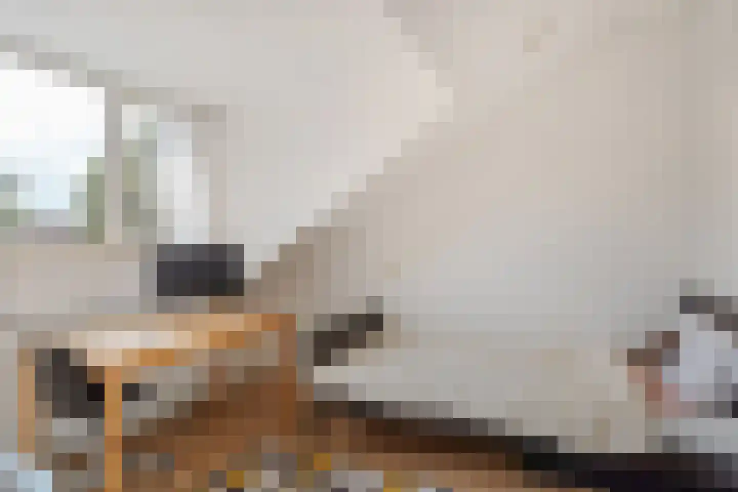 Petuniadal 5 Leiden thumbnail 27
