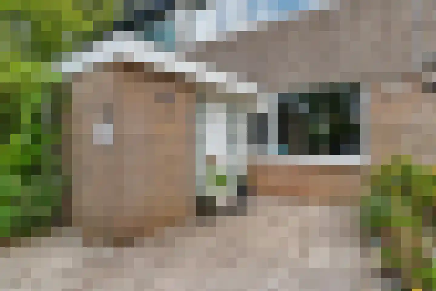 Petuniadal 5 Leiden thumbnail 30