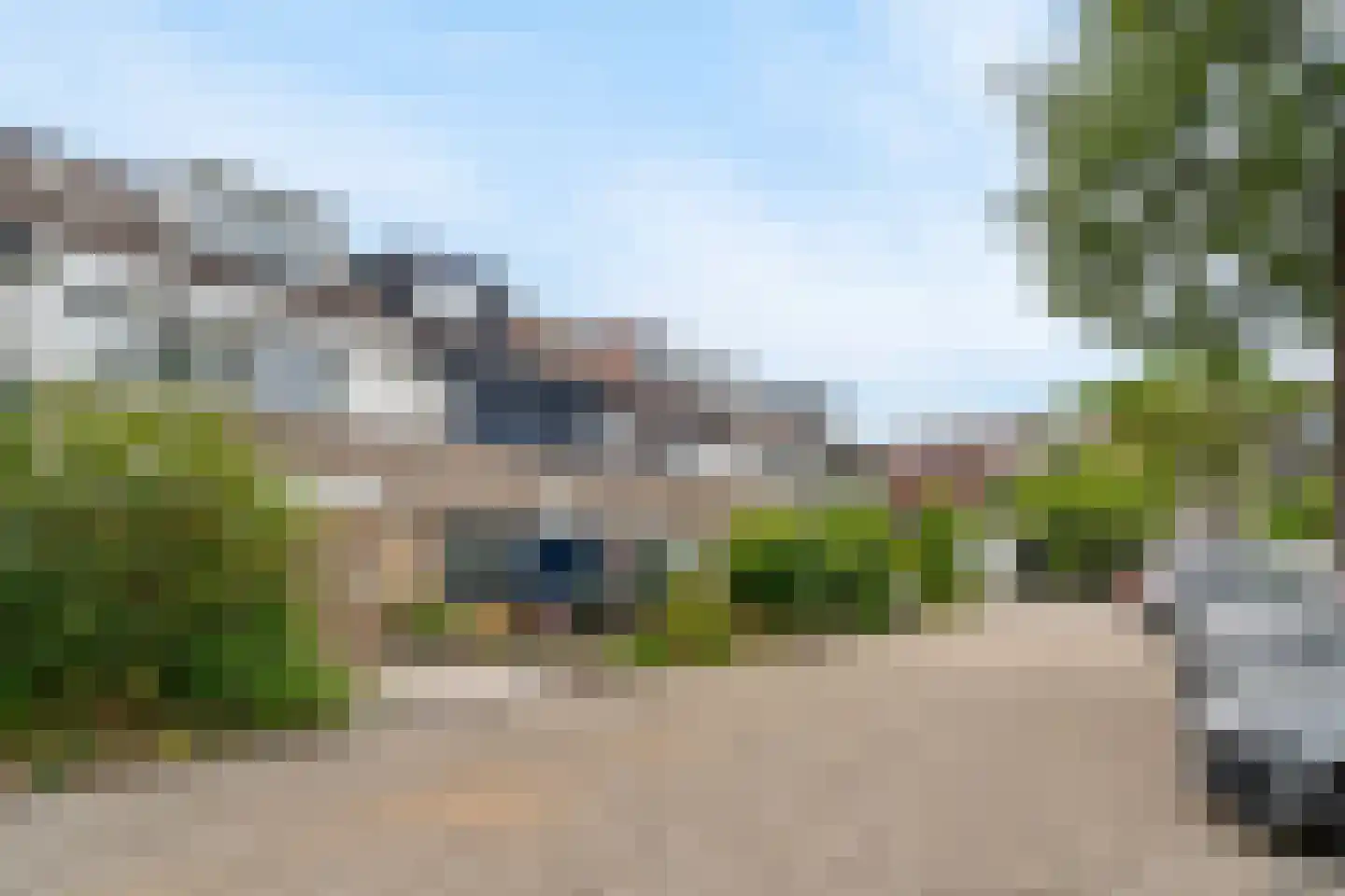 Petuniadal 5 Leiden thumbnail 31