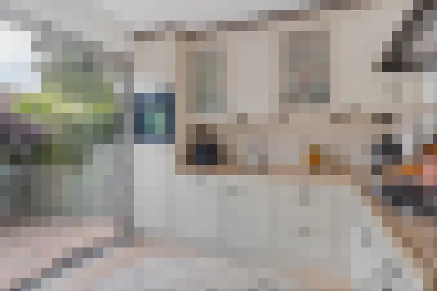 Petuniadal 5 Leiden thumbnail 5