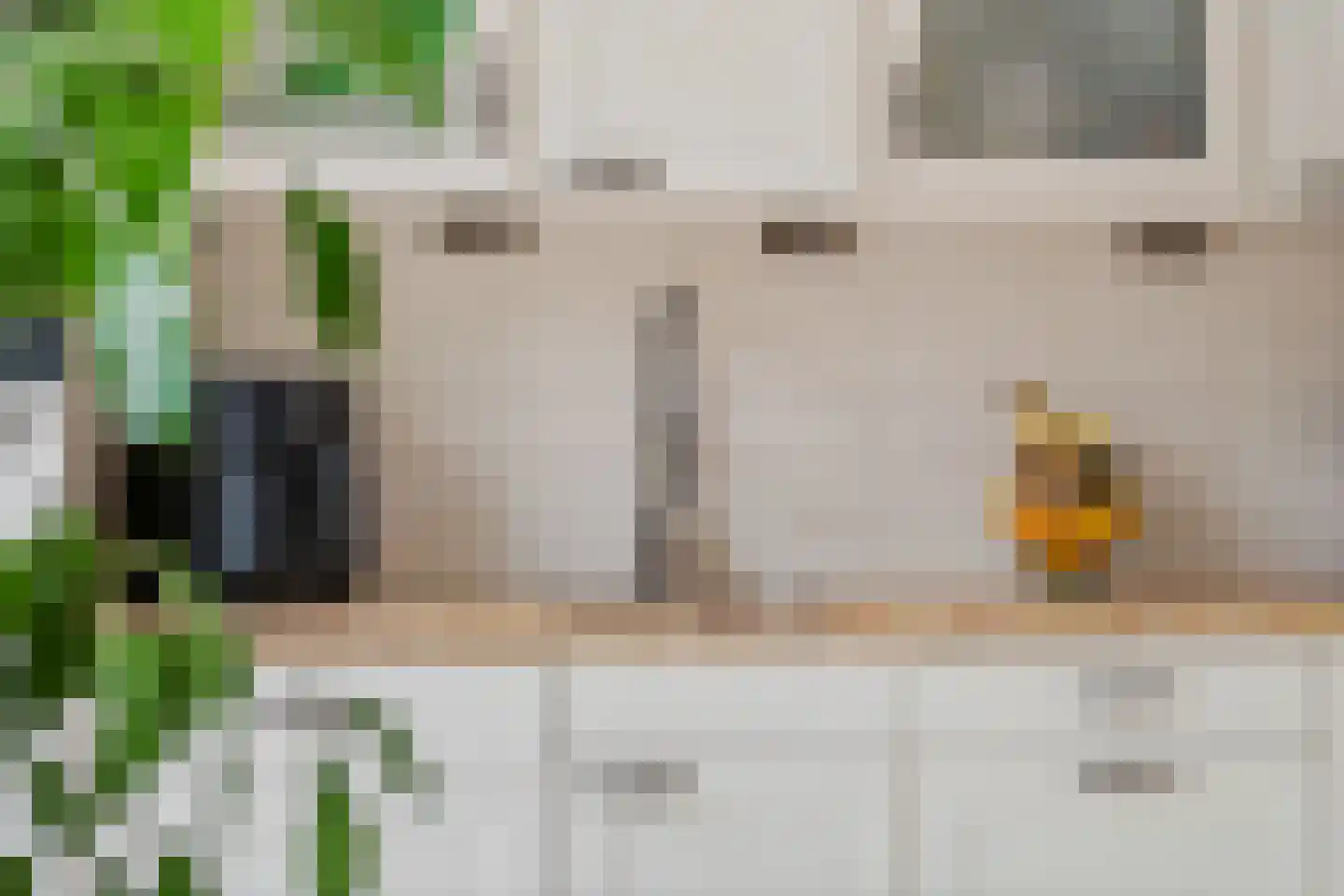 Petuniadal 5 Leiden thumbnail 7
