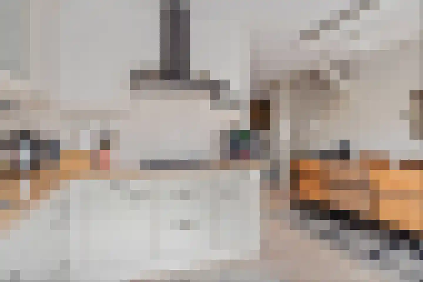 Petuniadal 5 Leiden thumbnail 8