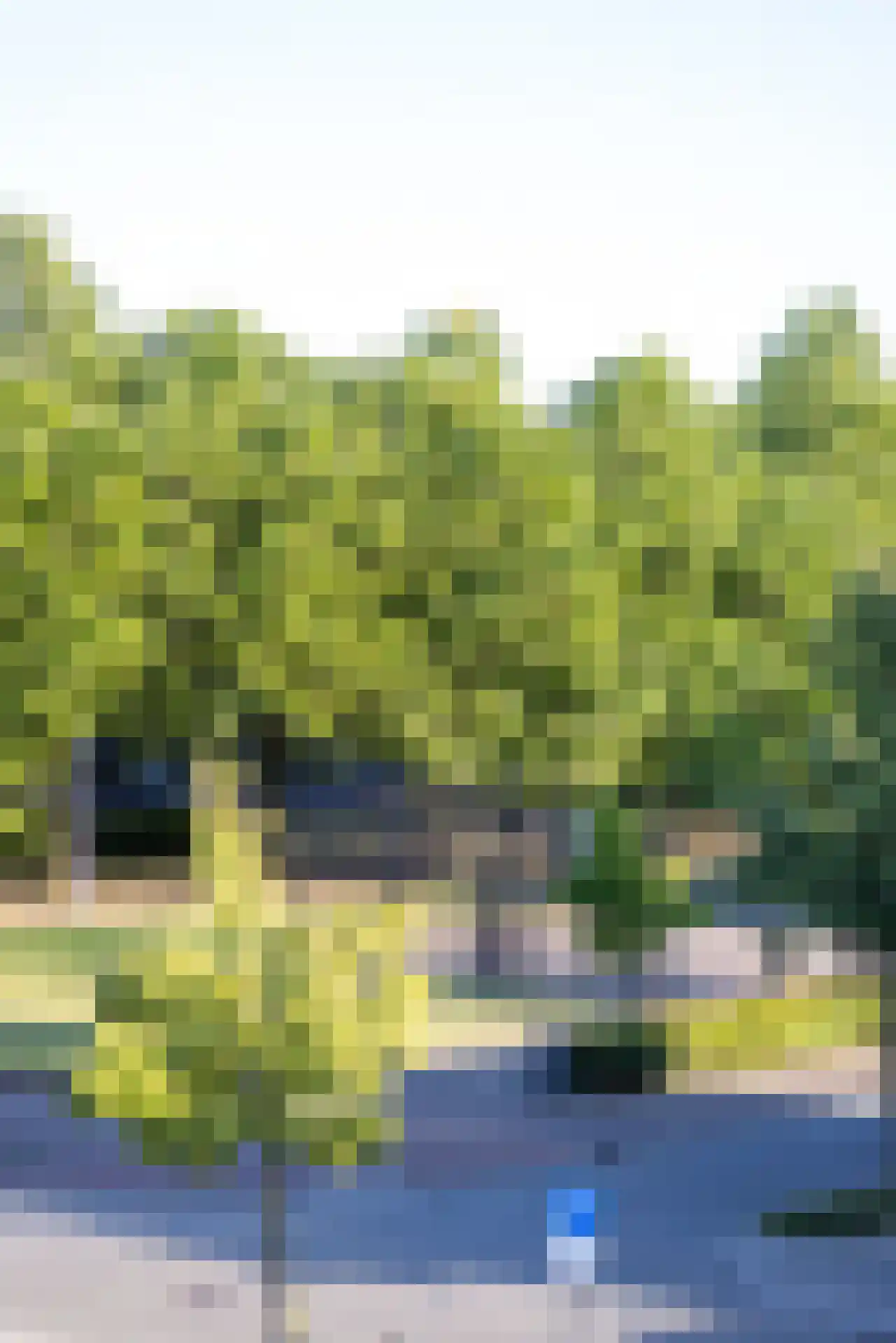 Petuniahof 1 B Rotterdam thumbnail 10