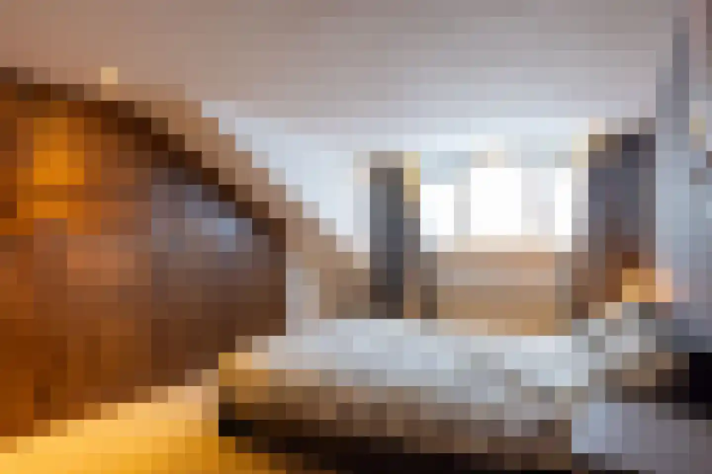 Petuniahof 1 B Rotterdam thumbnail 12