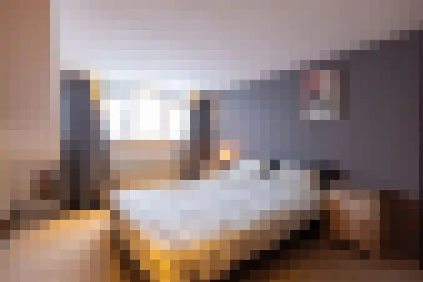 Petuniahof 1 B Rotterdam thumbnail 4