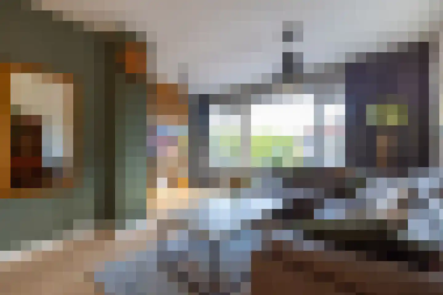 Petuniahof 1 B Rotterdam thumbnail 6