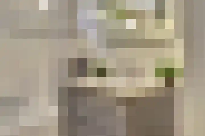 Petuniahof 21 Nieuwegein thumbnail 26