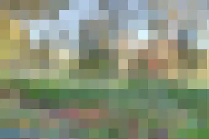 Petuniahof 21 Nieuwegein thumbnail 30