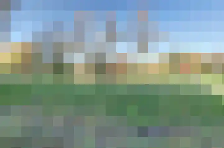 Petuniahof 21 Nieuwegein thumbnail 31