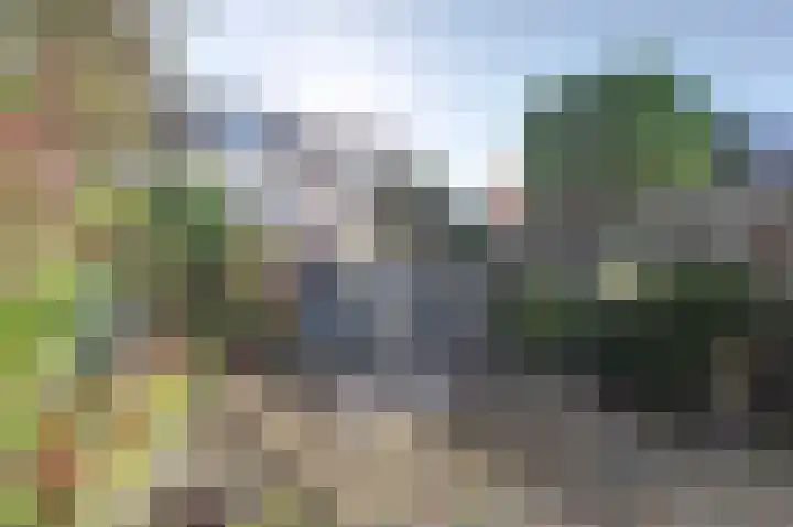 Petuniahof 21 Nieuwegein thumbnail 33