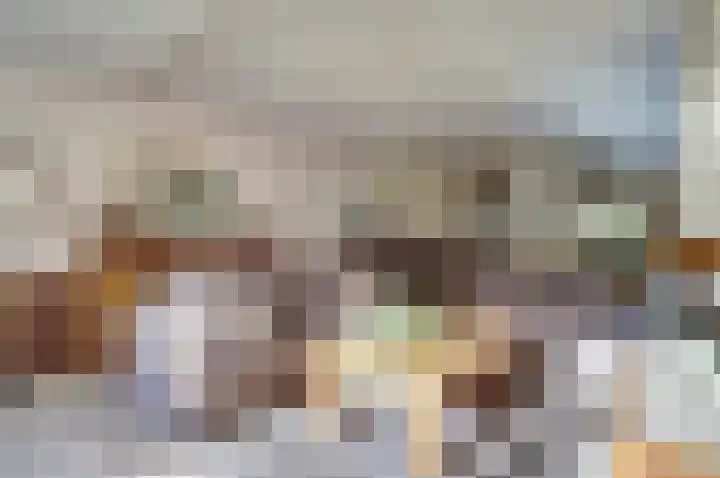 Petuniahof 21 Nieuwegein thumbnail 6
