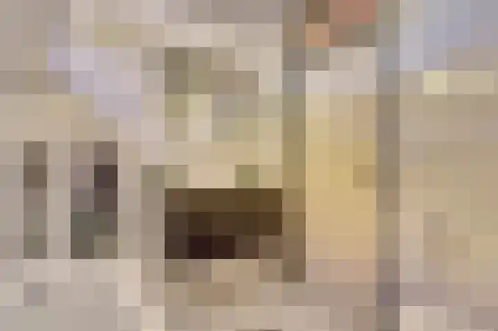 Petuniahof 21 Nieuwegein thumbnail 7