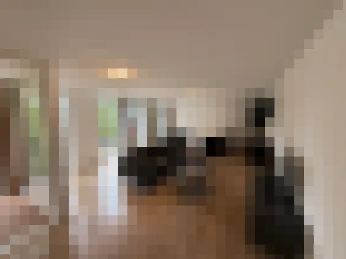 Petuniahof Waalre thumbnail 5