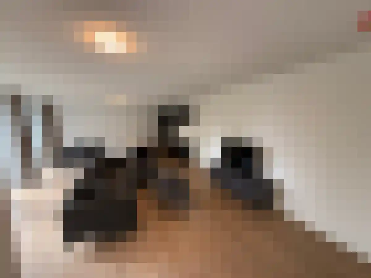 Petuniahof Waalre thumbnail 6