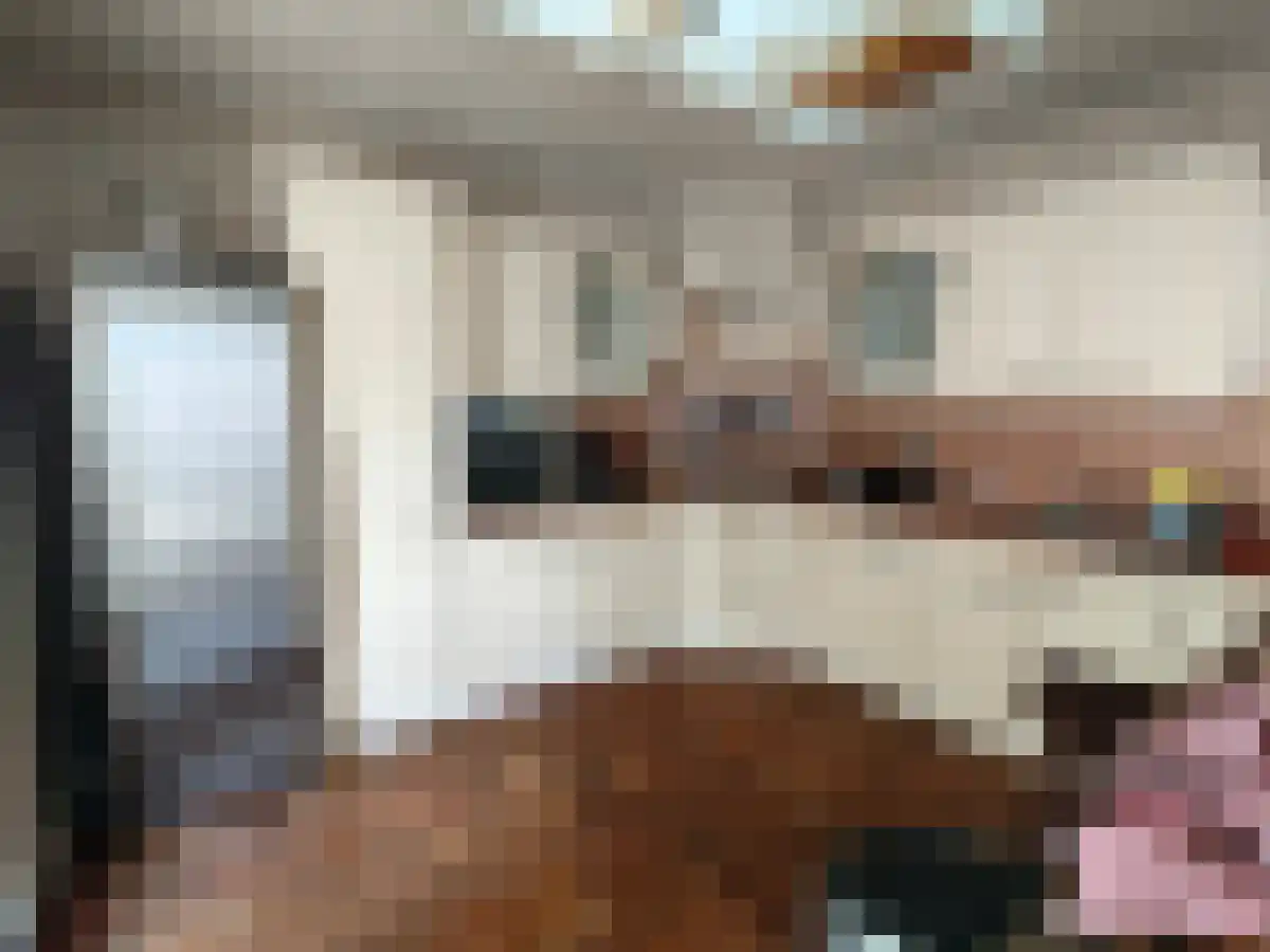 Petunialaan 19 Waalre thumbnail 4