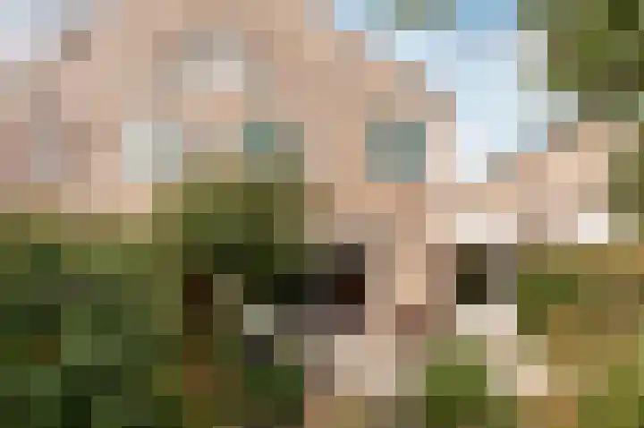 Petuniastraat 13 Almere thumbnail 24