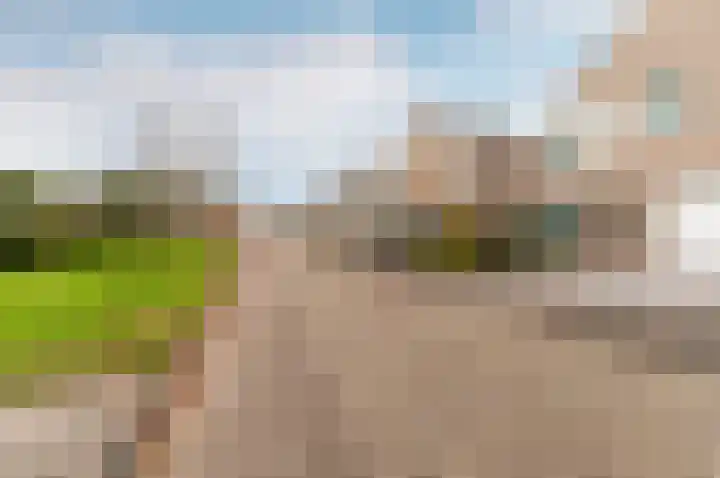 Petuniastraat 13 Almere thumbnail 27