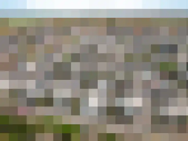 Petuniastraat 13 Almere thumbnail 34