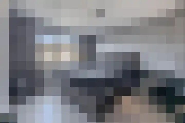 Petuniastraat 13 Ittervoort thumbnail 10