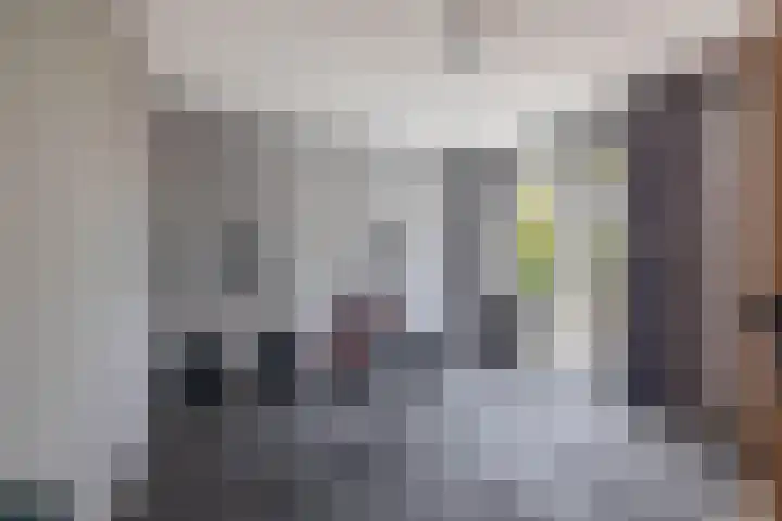 Petuniastraat 13 Ittervoort thumbnail 11