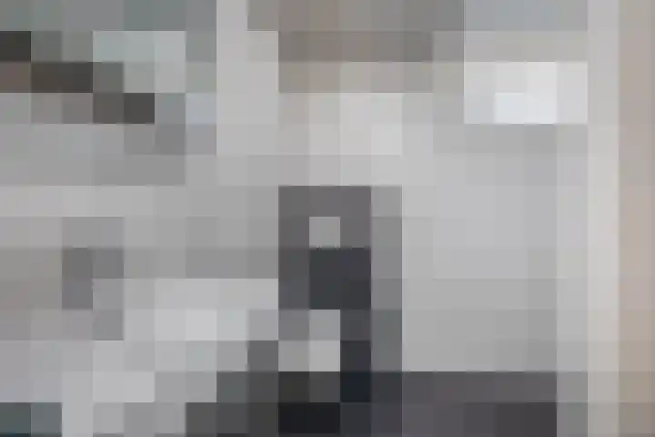 Petuniastraat 13 Ittervoort thumbnail 13