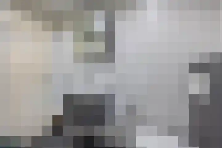 Petuniastraat 13 Ittervoort thumbnail 14