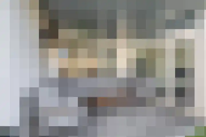 Petuniastraat 13 Ittervoort thumbnail 15