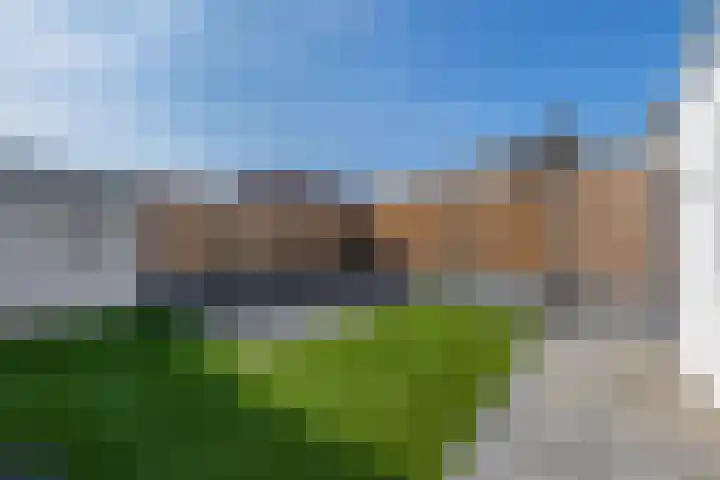 Petuniastraat 13 Ittervoort thumbnail 18