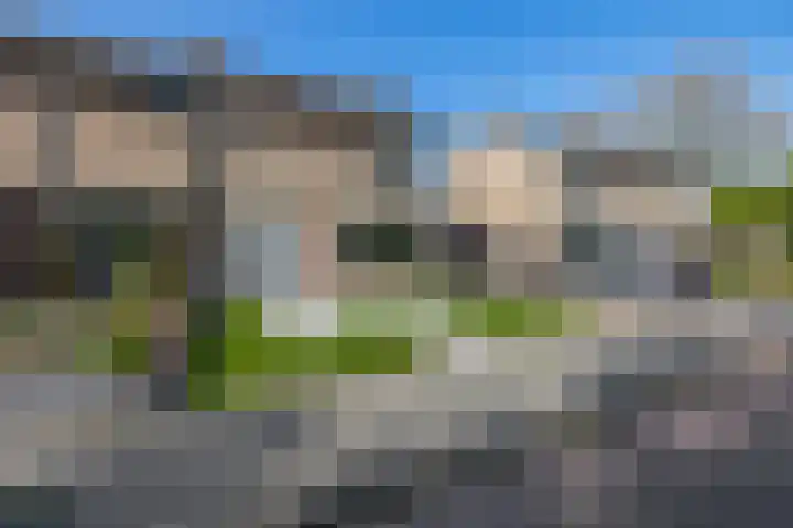 Petuniastraat 13 Ittervoort thumbnail 19