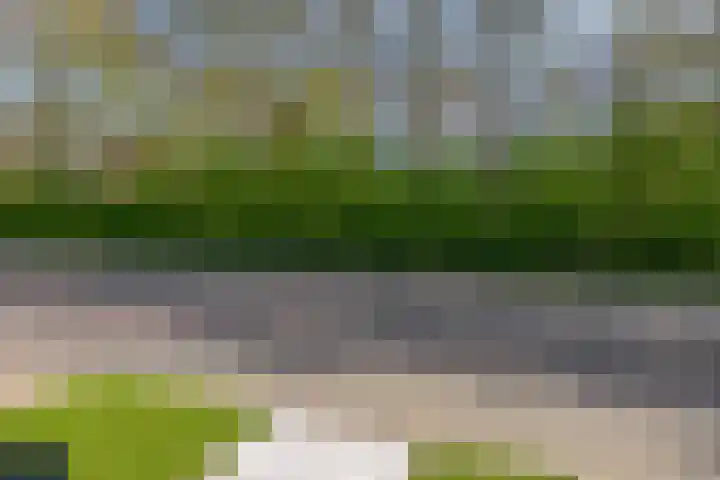 Petuniastraat 13 Ittervoort thumbnail 20