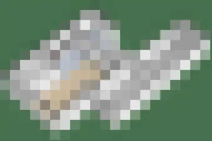 Petuniastraat 13 Ittervoort thumbnail 24