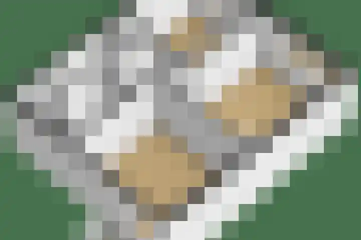 Petuniastraat 13 Ittervoort thumbnail 25