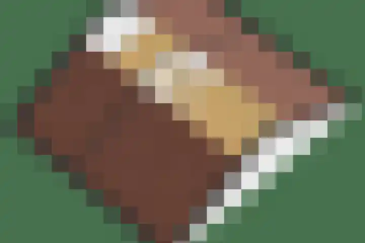 Petuniastraat 13 Ittervoort thumbnail 26
